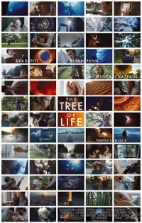 4/10 The tree of life